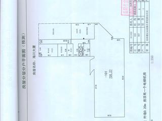 測(cè)繪報(bào)告5頁(yè)