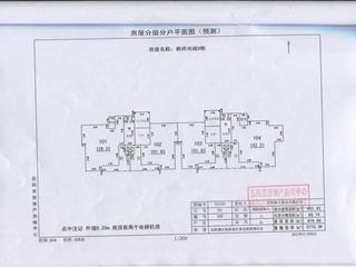 測繪報告5頁