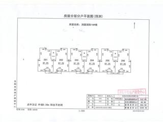 測(cè)繪報(bào)告