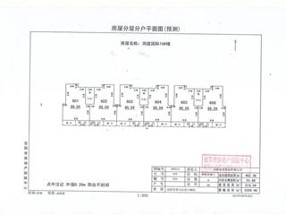 測(cè)繪報(bào)告