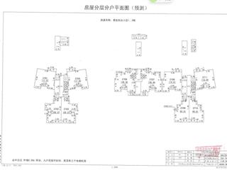 分戶平面圖5