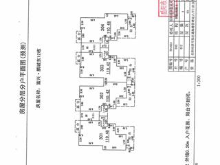 測(cè)繪報(bào)告