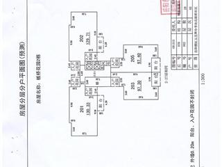 測(cè)繪報(bào)告