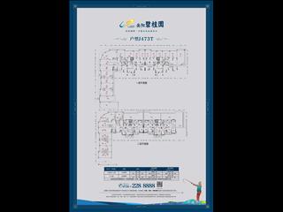 岳陽碧桂園戶型圖8