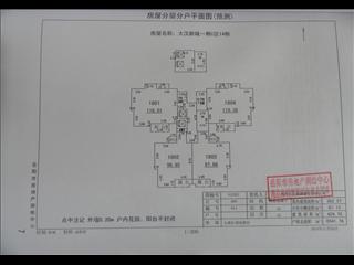 大漢新城C區(qū)14棟、S8棟商業(yè)8