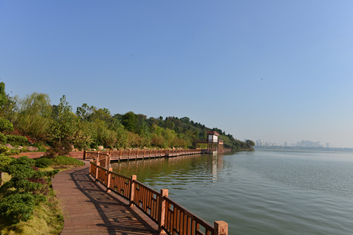 南湖壹號實(shí)景圖1