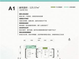 水韻巴陵（DADA的水岸）戶型圖1