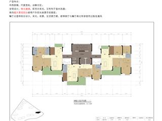 四化新城5#棟平面戶(hù)型圖