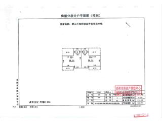 君山三角坪綜合開發(fā)項目（合眾·領(lǐng)島）A173