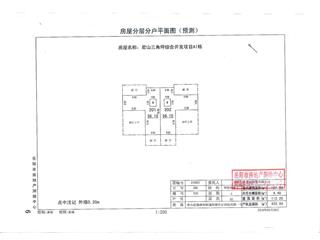 君山三角坪綜合開發(fā)項目（合眾·領(lǐng)島）A153