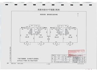 岳陽(yáng)碧桂園花語(yǔ)岸8棟6