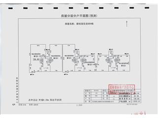 岳陽碧桂園花語岸9棟6