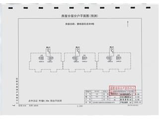 岳陽碧桂園花語岸9棟8