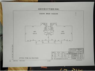 碧桂園·鳳凰城碧桂園·鳳凰城33棟10