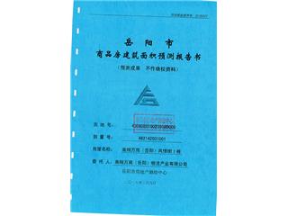 南翔萬商（岳陽(yáng)）風(fēng)情街1棟5