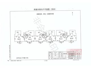 祥生·金麟府99棟9