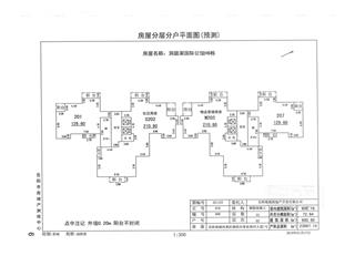 洞庭湖國際公館H地塊洞庭湖國際公館H地塊H6棟4