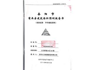 大漢新城大漢新城B區(qū)43棟9