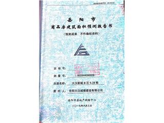 大漢新城大漢新城B區(qū)商業(yè)28棟7