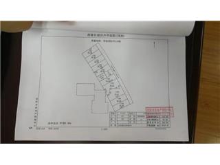 恒金國際中心6棟3