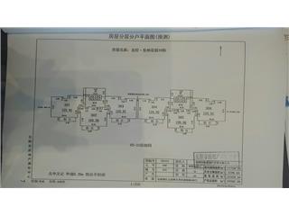 岳州花園10棟3