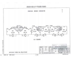 岳陽(yáng)碧桂園·鳳凰城碧桂園·鳳凰城65棟3