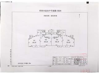 望岳府5#棟2